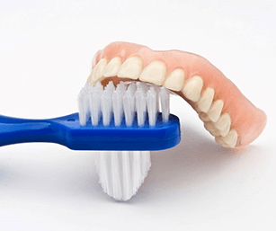 a closeup of a denture being brushed