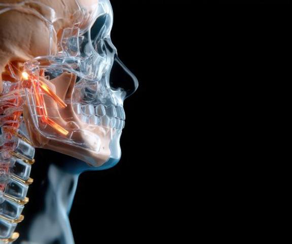 TMJ highlighted on illustration of human anatomy